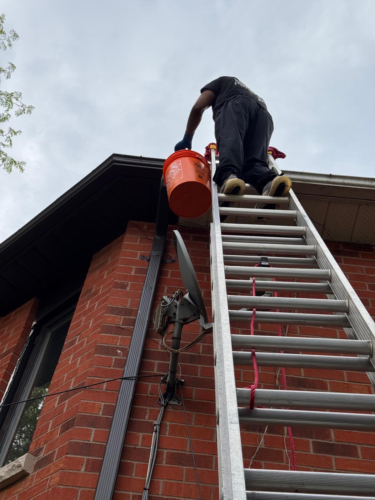 Gutter Cleaning